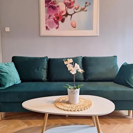 Piekne Sloneczne Mieszkanie W Centrum Wroclawia Apartman Wrocław